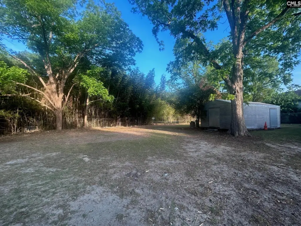 Picture 8