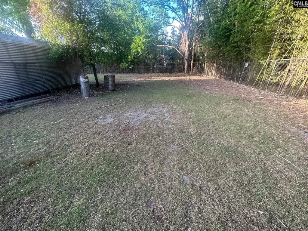 Picture 15