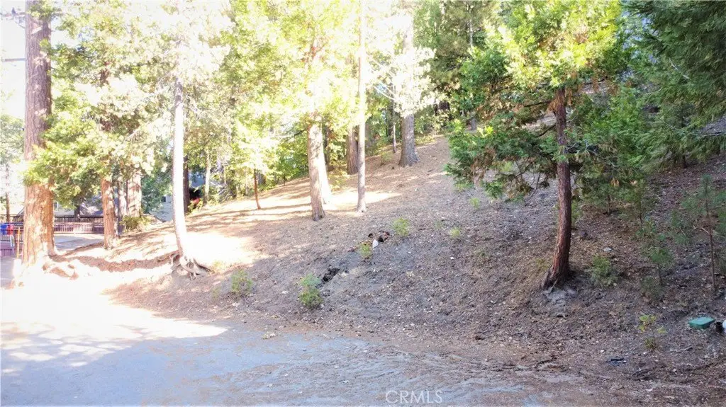 Picture 10