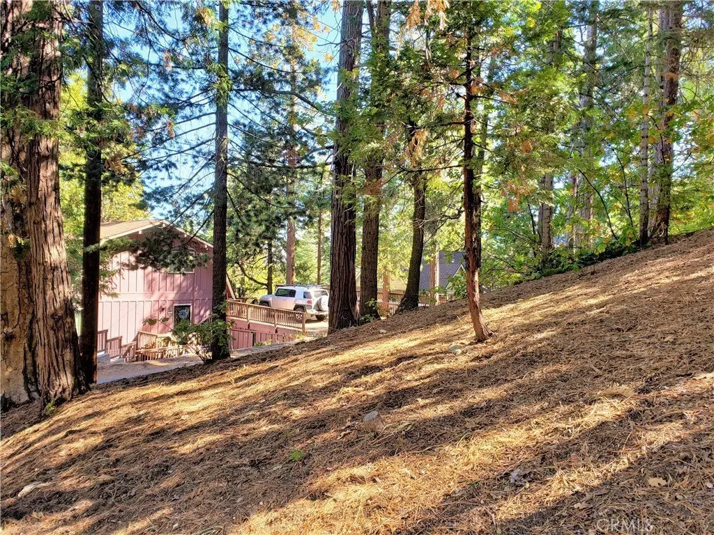 Picture 9