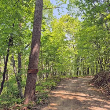 Grindstone Lake Waterfront Land