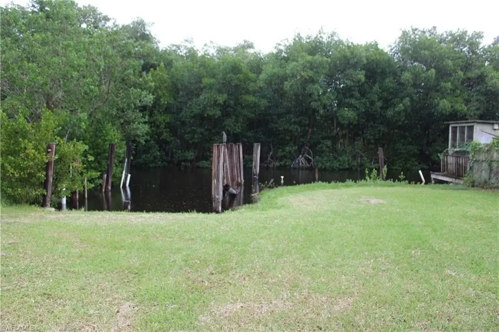 Picture 4