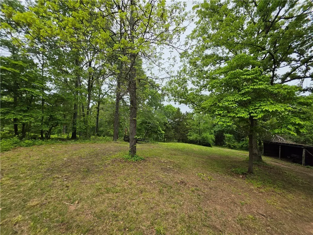 Picture 8