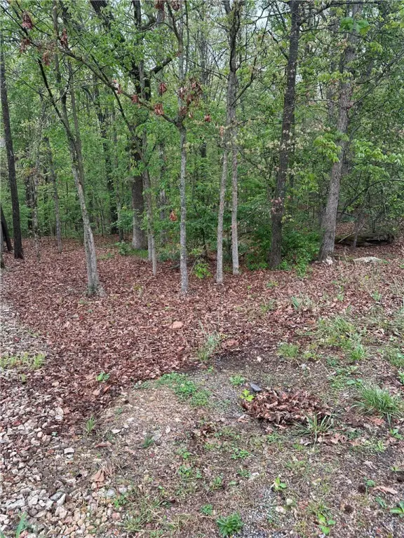 Picture 4