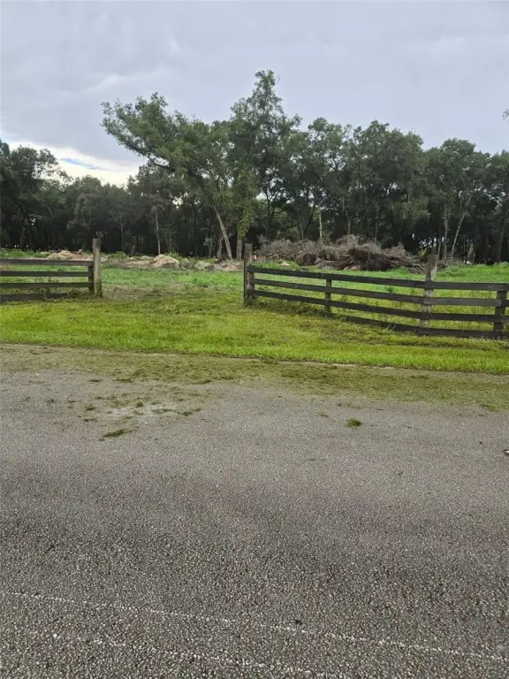Picture 23