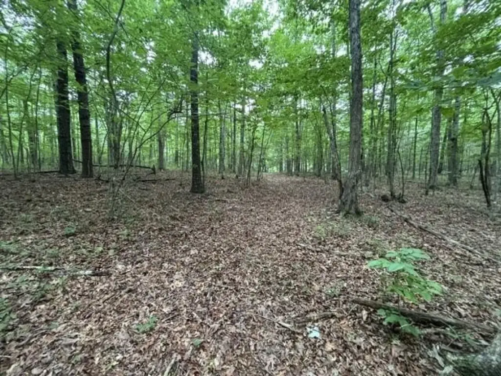 Picture 10
