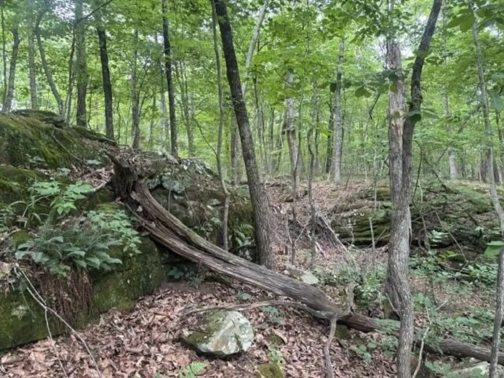 Picture 3