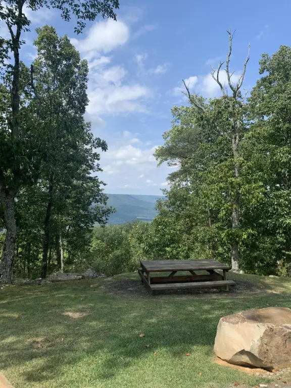 Picture 21