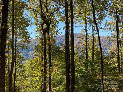 Black Mountain View Lot