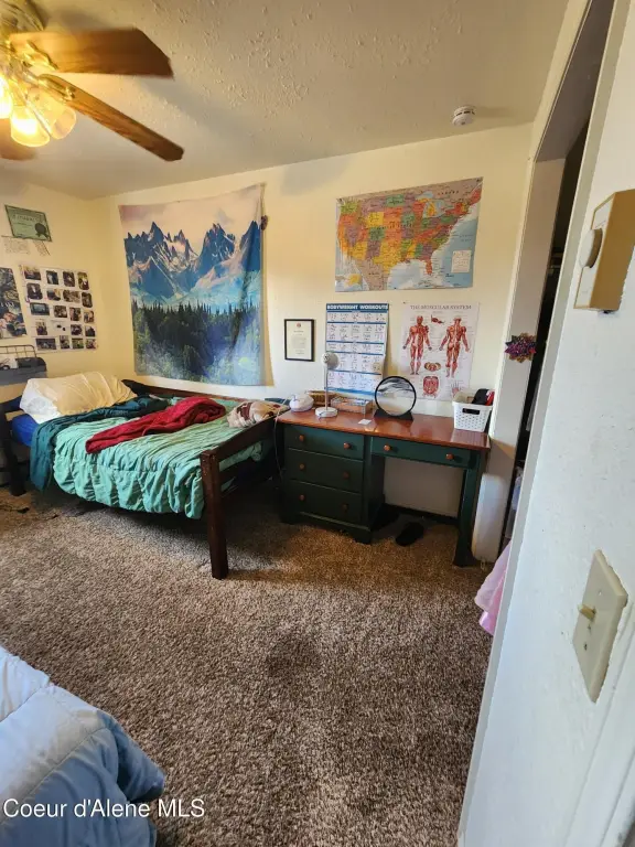 Picture 18