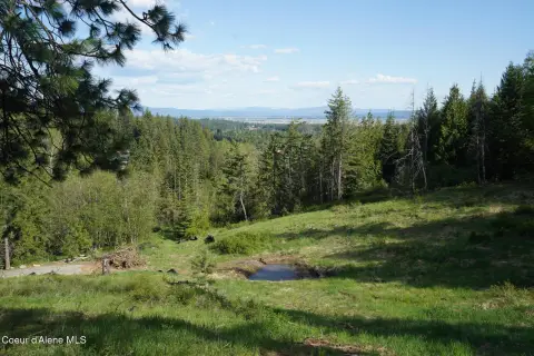 Rathdrum Wooded Land with Views