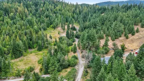 Rathdrum Wooded Acres with Views