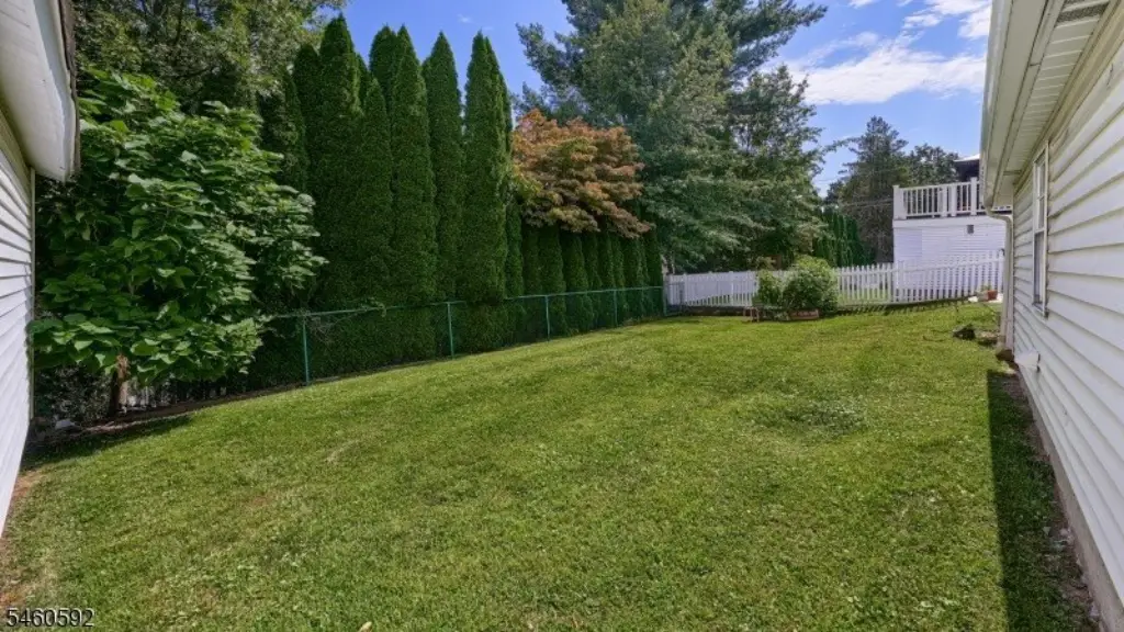 Picture 5