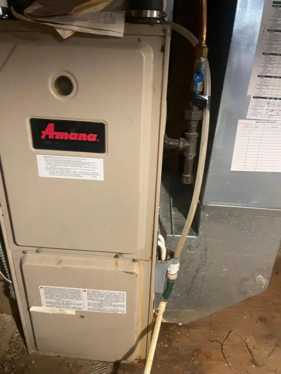 Picture 18