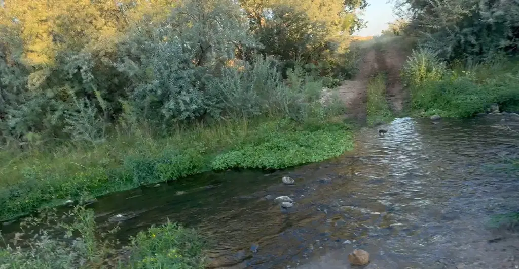 Picture 13