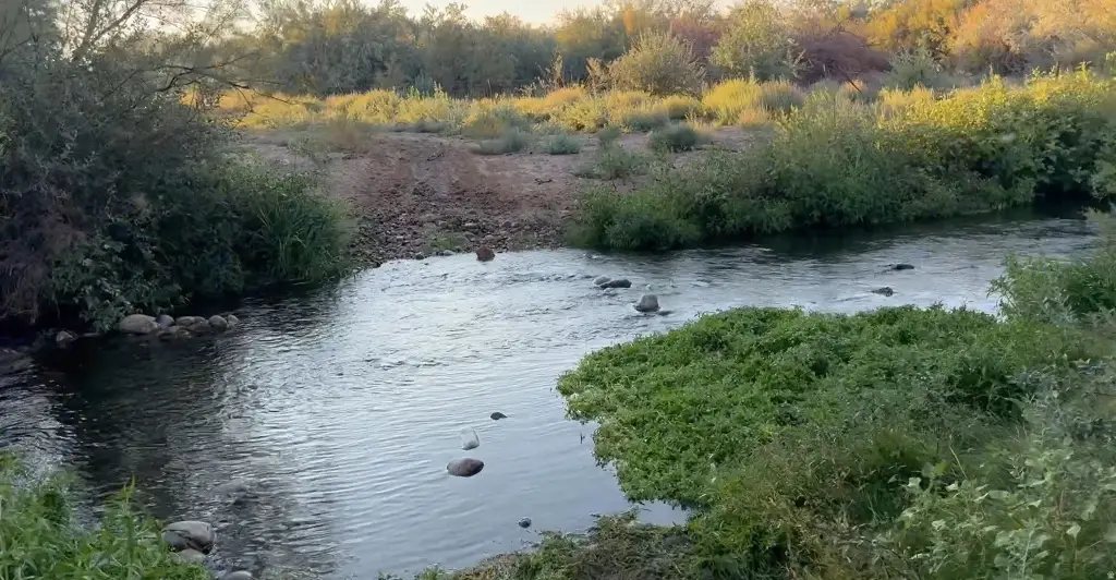 Picture 6