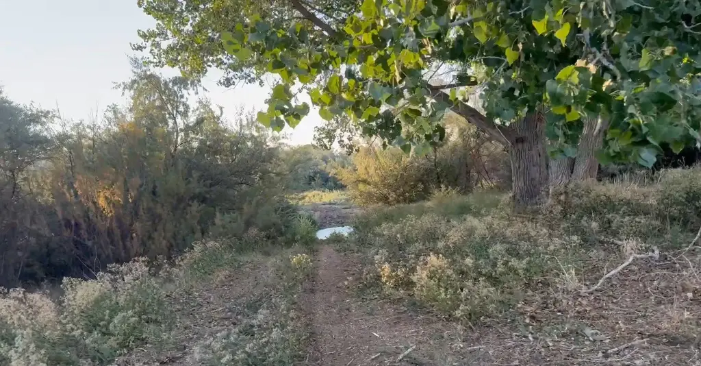 Picture 16