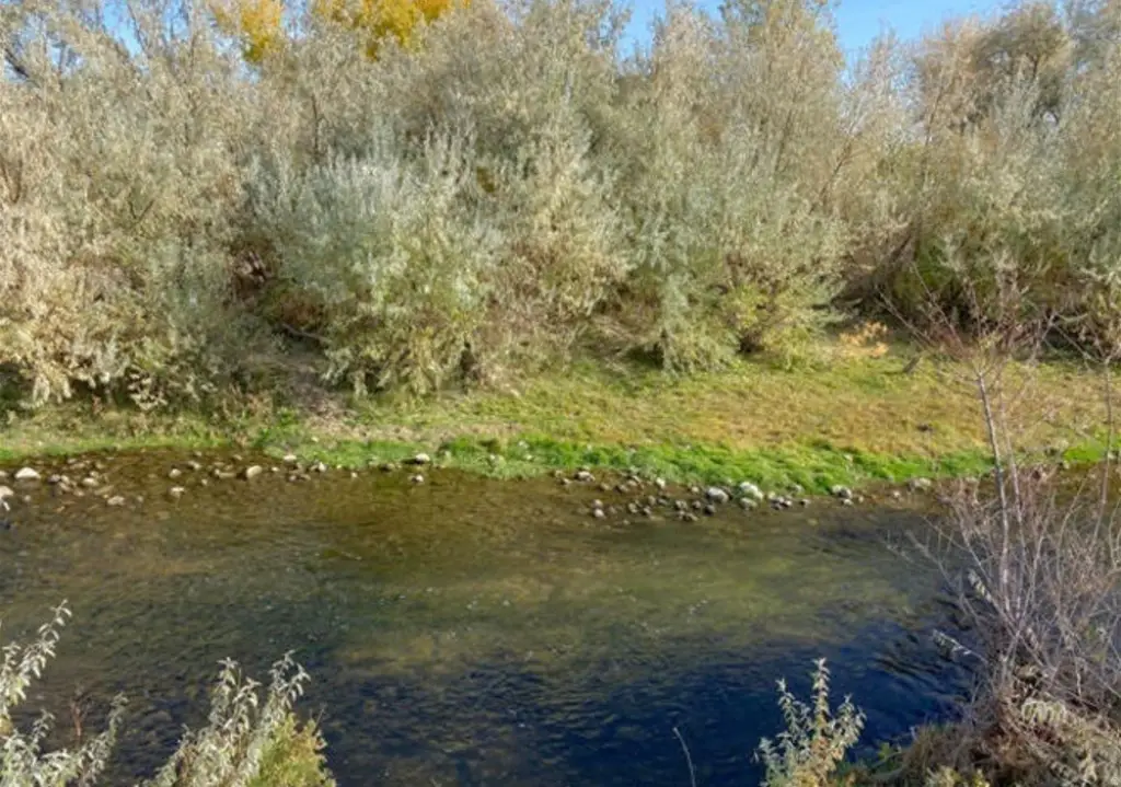 Picture 14