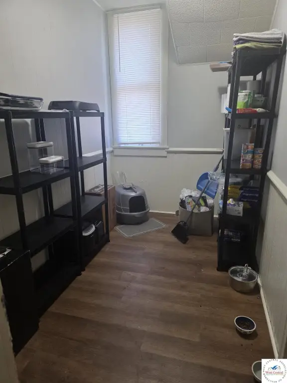 Picture 19