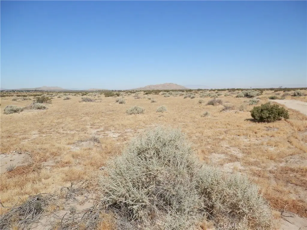 Picture 5