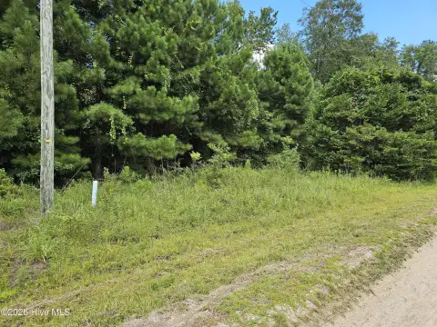 Horry County Land Opportunity