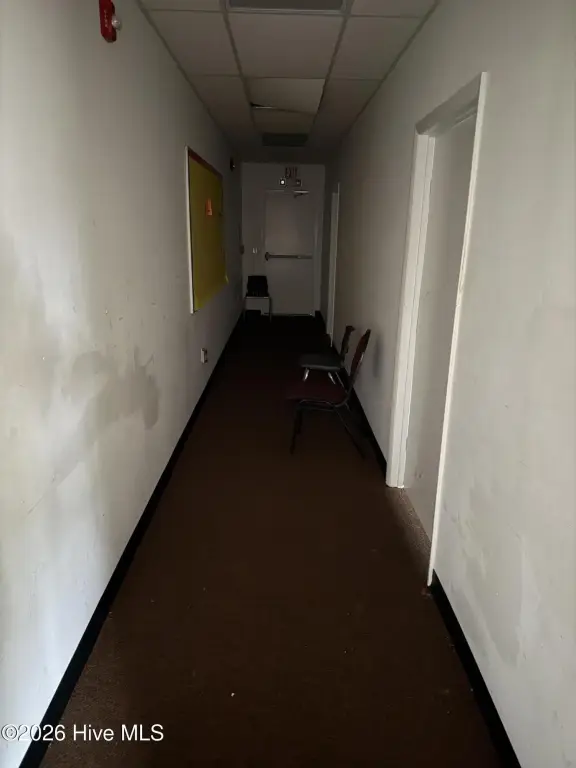 Picture 44