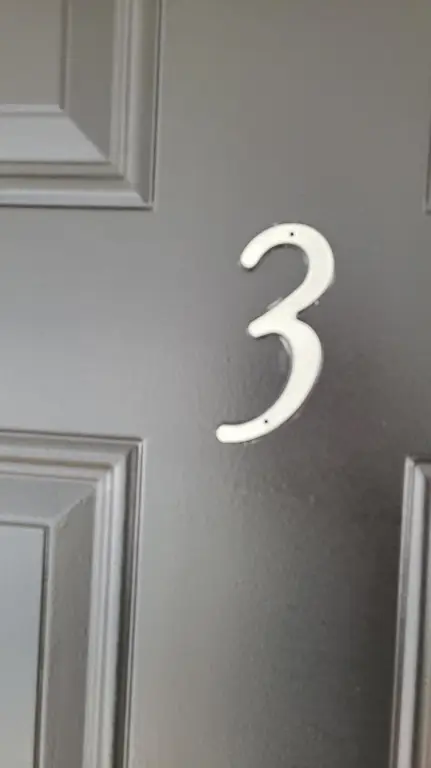 Picture 7