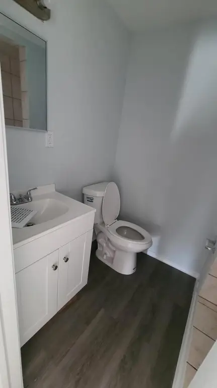 Picture 19