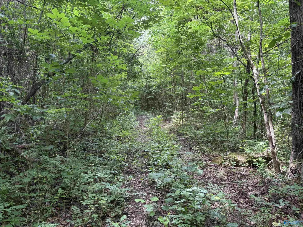 Picture 23