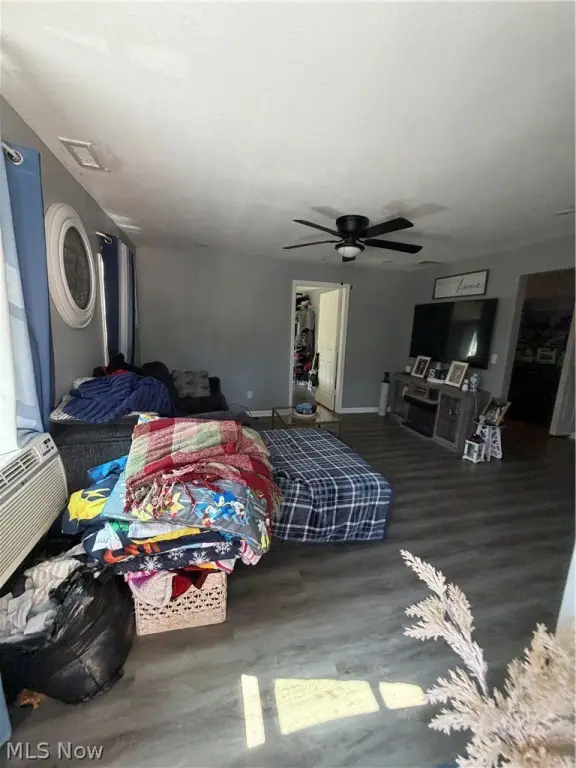 Picture 25