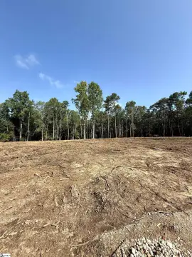 Residential Lot in Five Forks