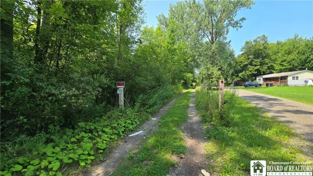 Picture 7