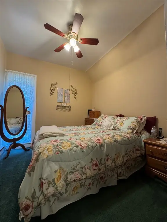 Picture 17