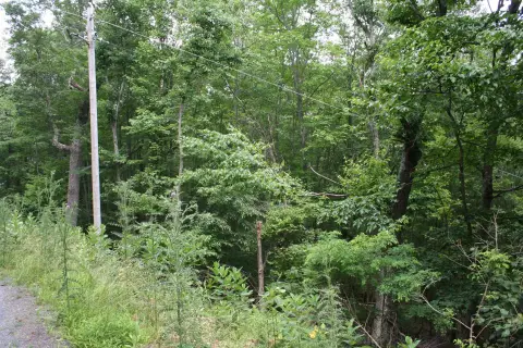 Residential Land in Monterey, VA