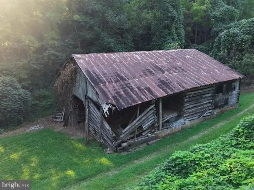Picture 4