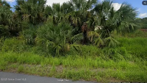 Residential Land in Palm Bay