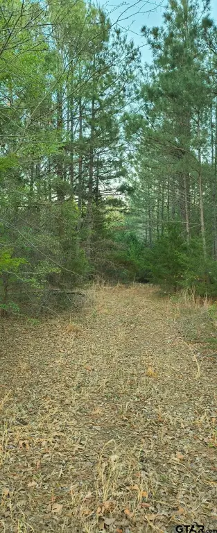 Picture 2