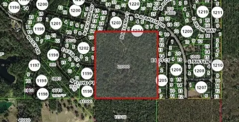 38.3 Acres in Citrus Springs