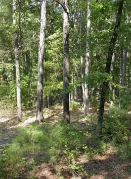 Pine Bluff Lot for Sale