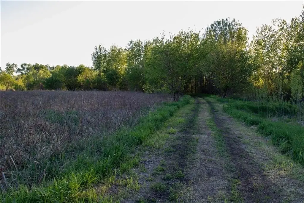 Picture 25