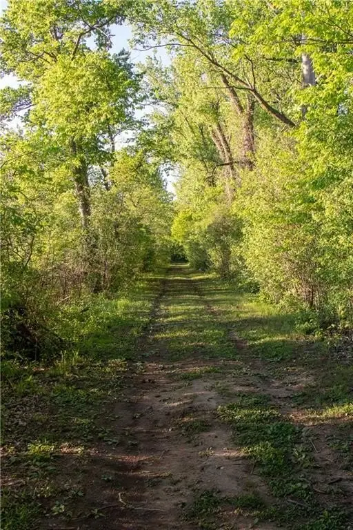 Picture 24