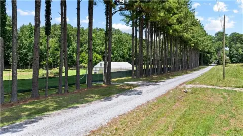 Working Farmland with Onsite Greenhouse