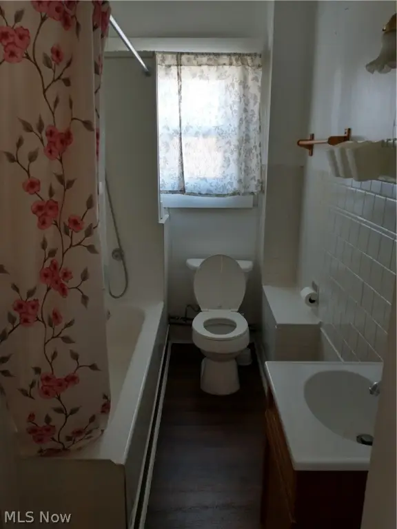 Picture 19