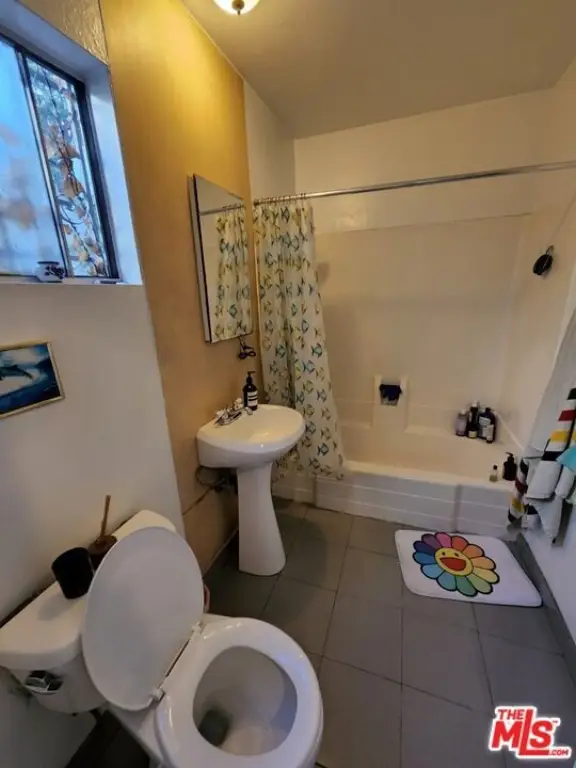 Picture 17