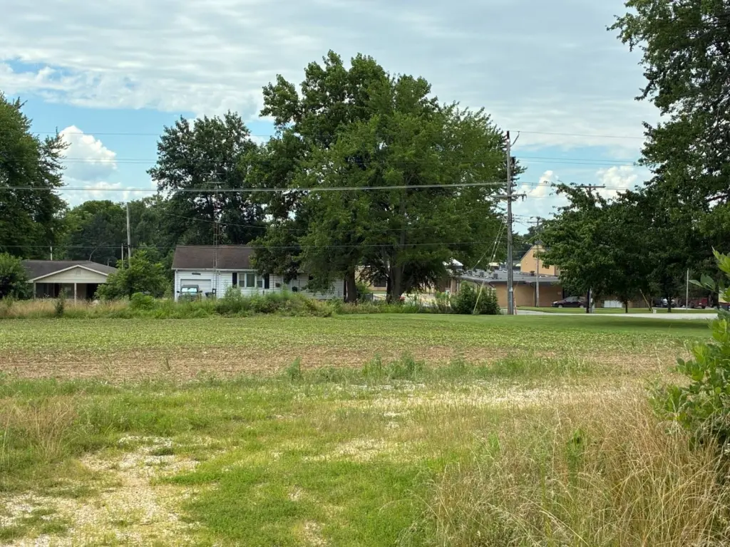 Picture 13