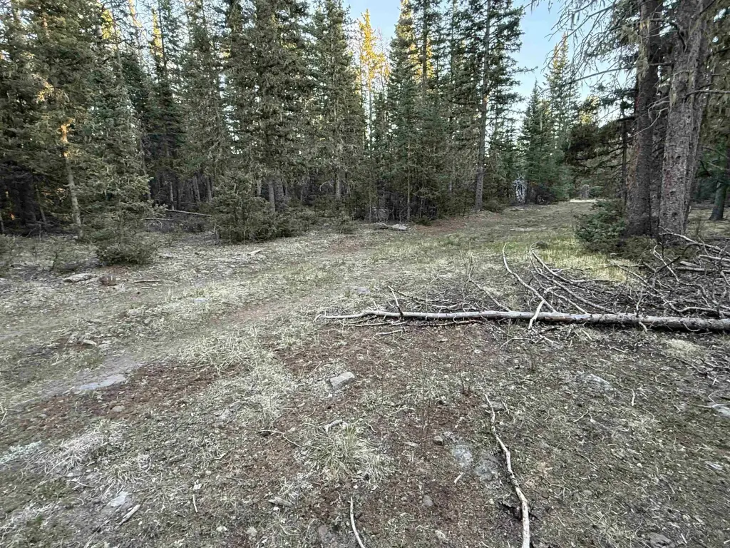 Picture 4