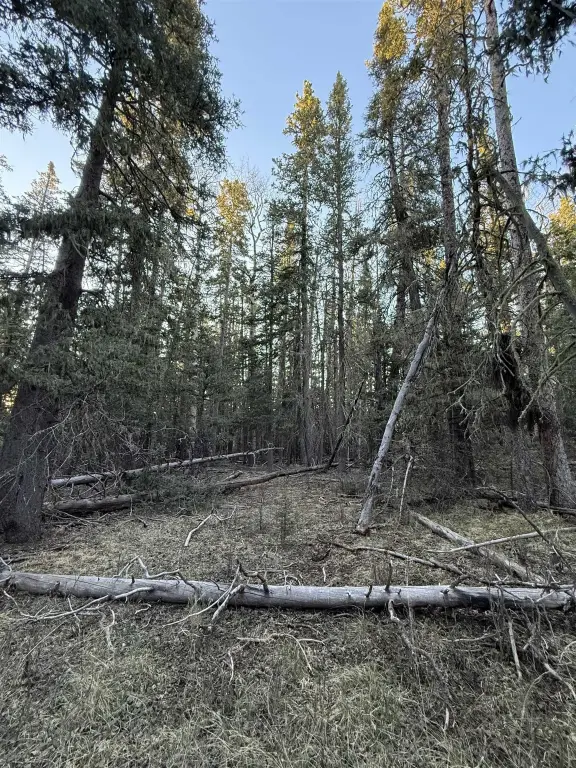 Picture 6