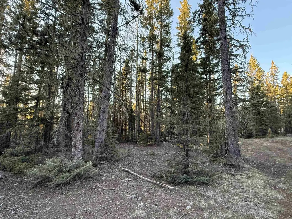 Picture 5