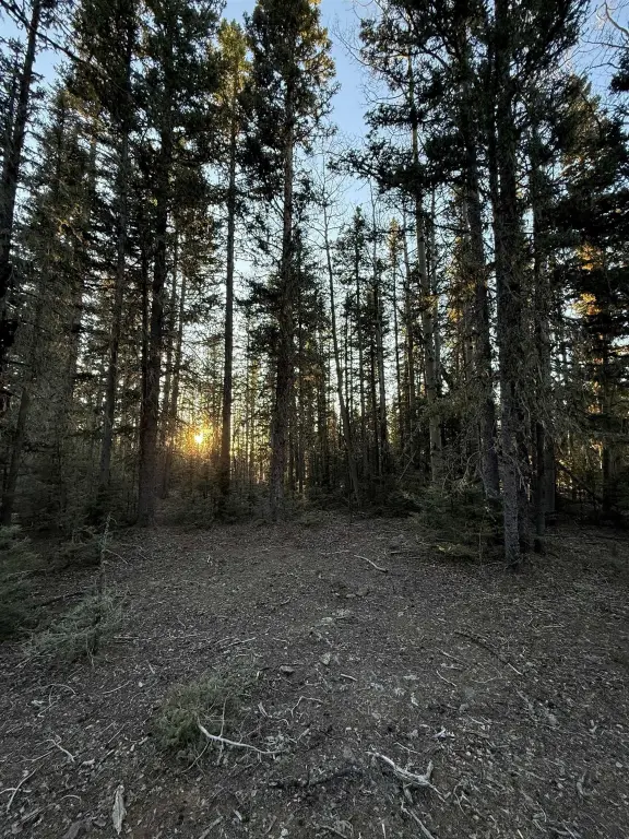 Picture 8