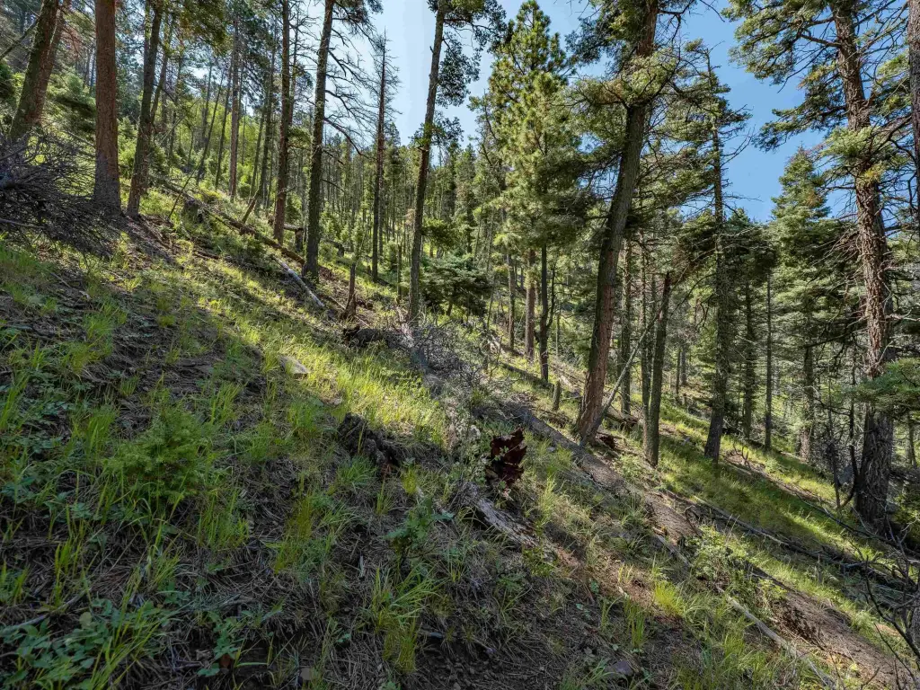 Picture 21